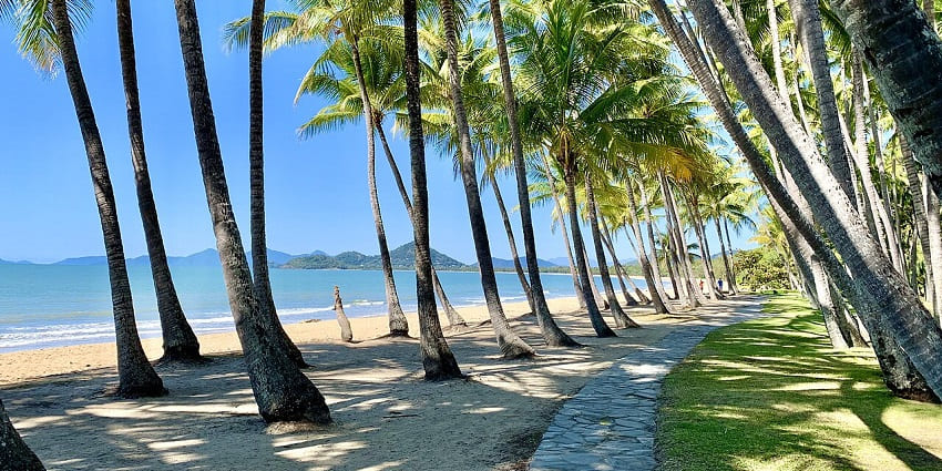 A view of a palm-lined beach with golden sand - perfect for relaxing in Far North Queensland.
