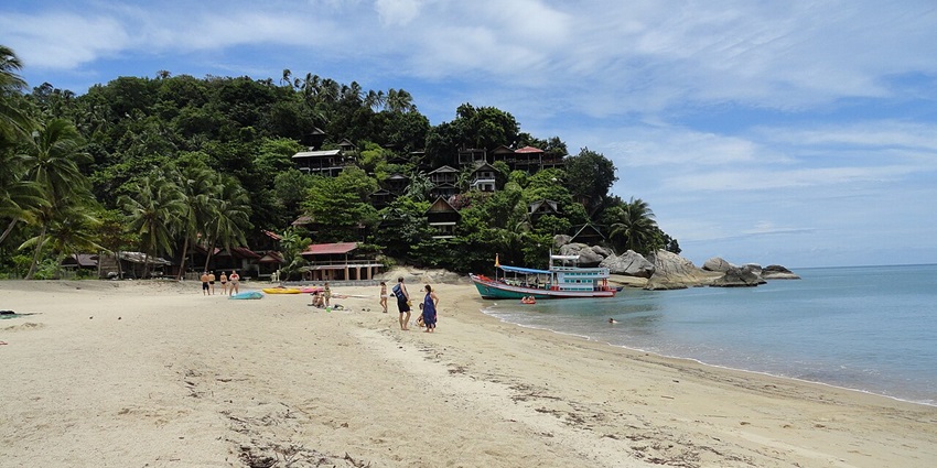 A beach with crystal-clear waters and palm trees, offering peaceful things to do in Koh Phangan.