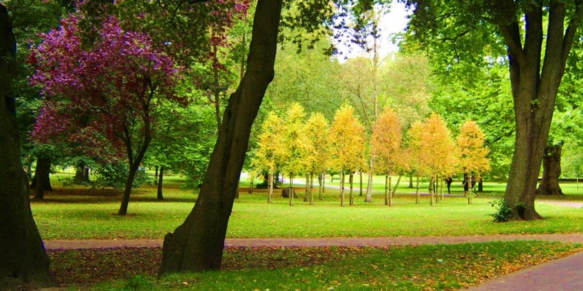 Bute Park, a serene green space in central Cardiff, offers riverside walks and lush gardens.