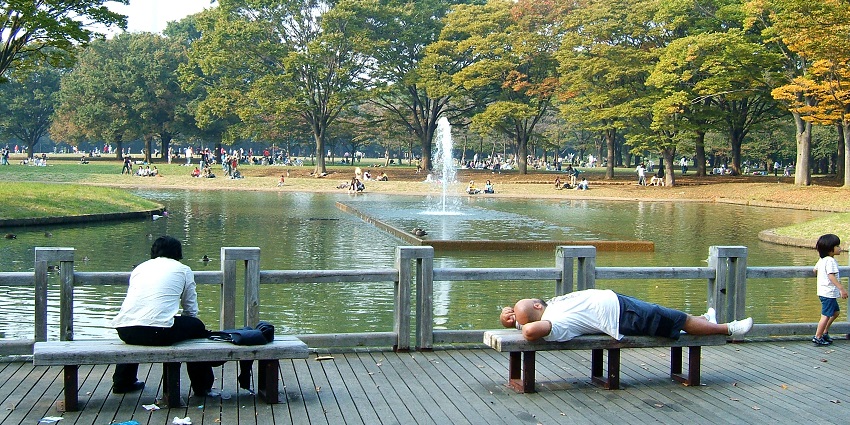 People relaxing on the grass under cherry blossom trees at Yoyogi Park, enjoying a peaceful spring day in Shibuya.