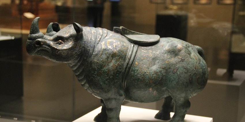 Detailed Bronze model of rhinoceros on a white surface in the glass cube at a museum, one of the best places to visit in Shillong in July.