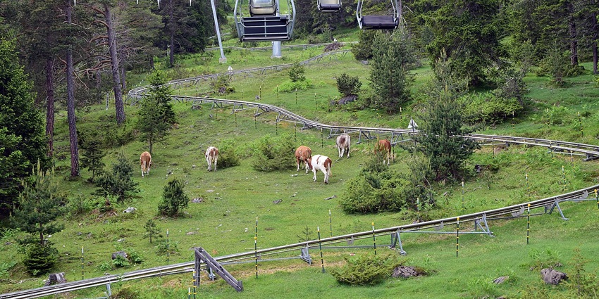 Feel the thrill of speeding down the slopes, which offer views of the Gstaad Valley.
