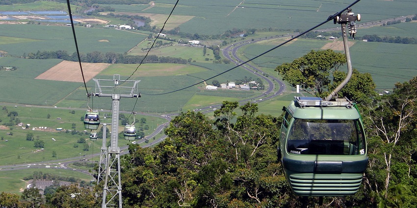 Skyrail cable cars glide above lush rainforest, iconic things to do in Far North Queensland.

