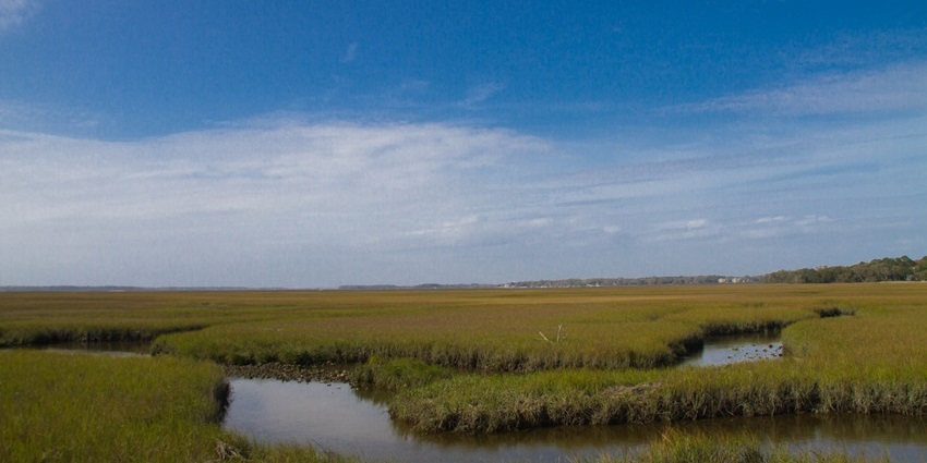 Amelia Island marshes with tall grasses, calm water channels, and cloudy sky above