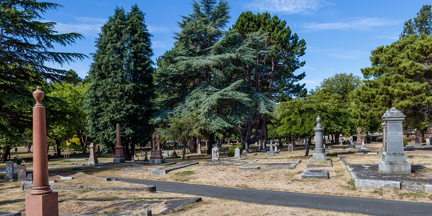 Grassy cemetery with tall trees and various old headstones and monuments under a blue sky.