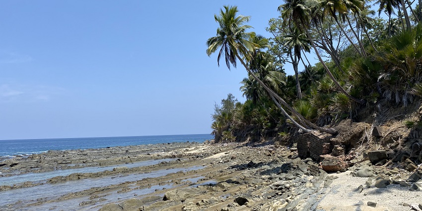 Stony ruins and lush trees meet the water's edge on Netaji Subhash Chandra Bose Island