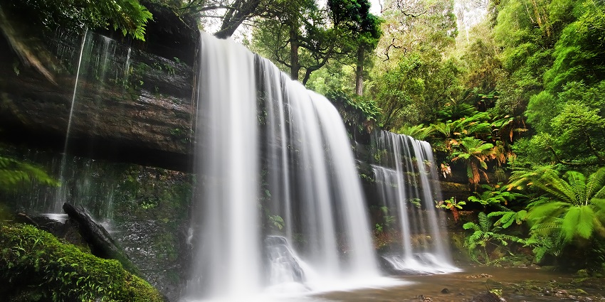 Marvel at the cascading beauty of Russell Falls, a two-tiered waterfall in Mt. Field National Park