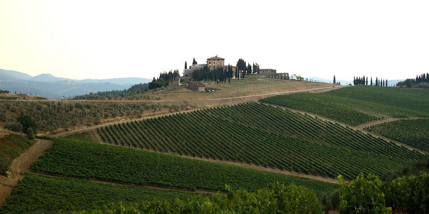 One of the best things to do in Chianti is to enjoy a wine tasting tour at a traditional Chianti winery.