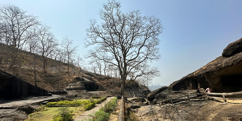 Sanjay Gandhi National Park in Mumbai with leopards, lakes, and the ancient Kanheri Caves.