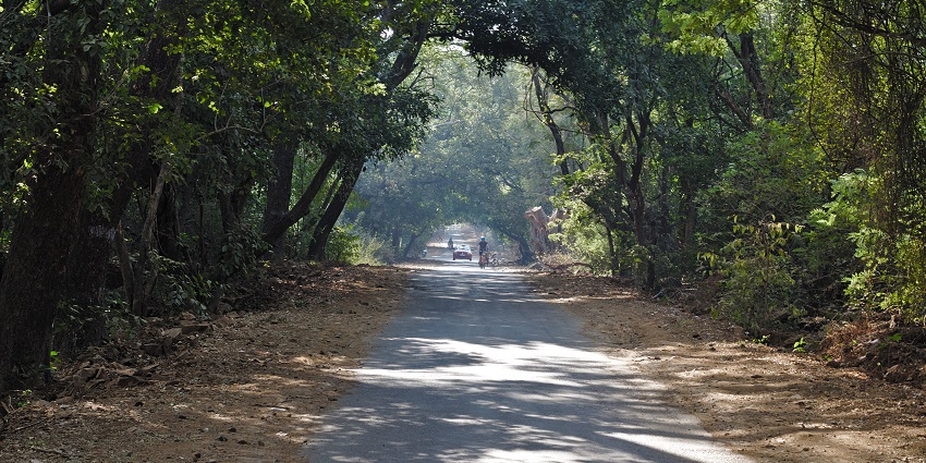 Lush green Sanjay Gandhi National Park, among the best places to visit in Mumbai in April.
