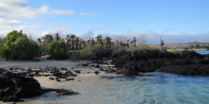 A rocky outcrop with sparse vegetation with sandy beach, one of the islands in Ecuador