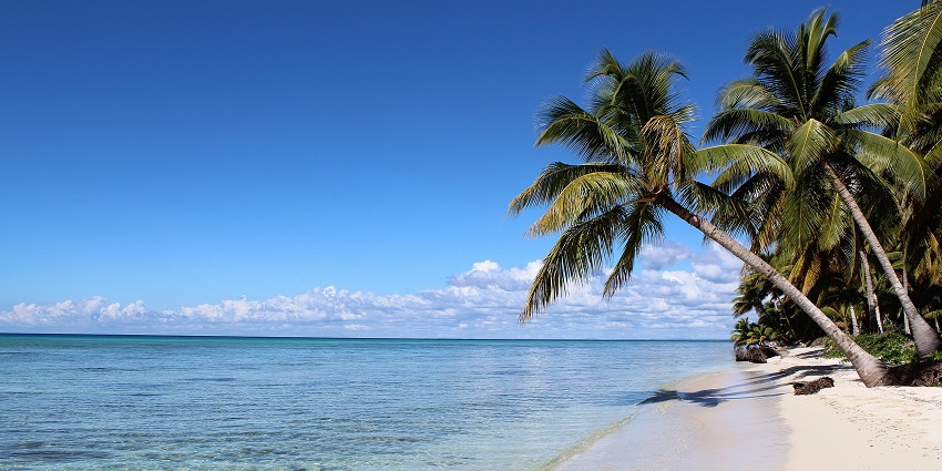 Pristine beach with palm trees and crystal-clear waters, one of the places to visit in Dominican Republic.