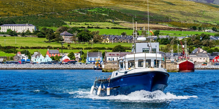 Speedboat cruising along the Dingle coast during a sea safari adventure tour