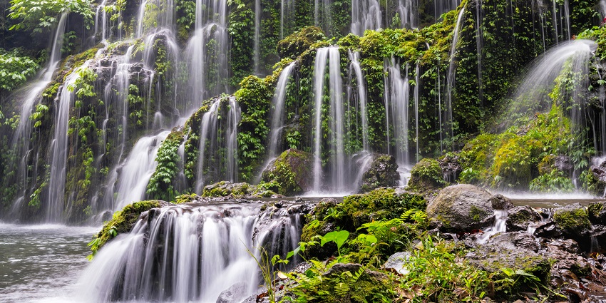 Lush cascading waterfall over moss-covered rocks, surrounded by dense green forest canopy