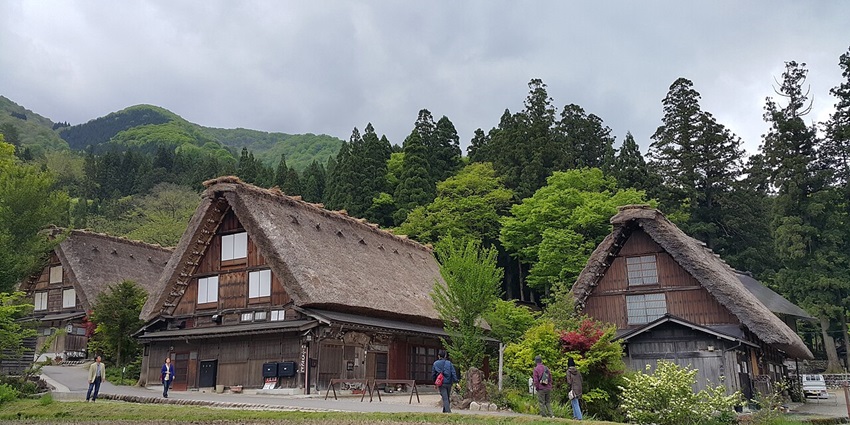 Traditional thatched-roof houses in a mountain village surrounded by lush green trees.