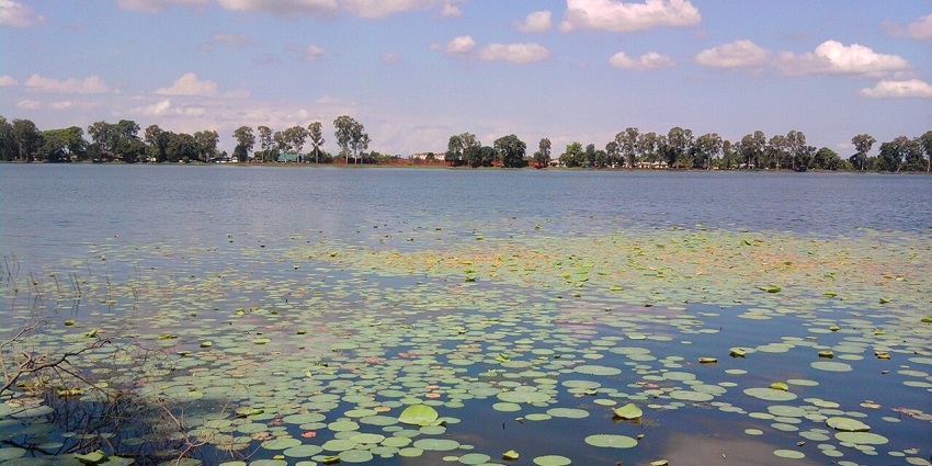 Sivasaagar tank in Borpukhuri with lilypads on the water, one of the peaceful places to visit in Assam in September