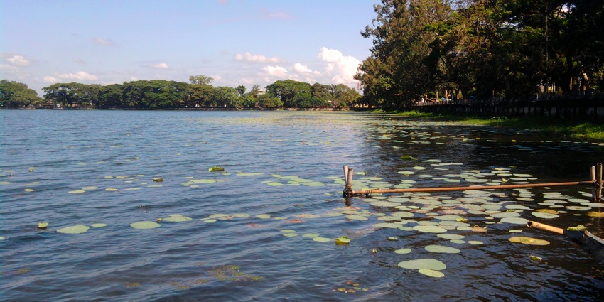 Sivasagar is one of the best places to visit in Assam in December with a large water body and lilies on the lake surrounded by green trees