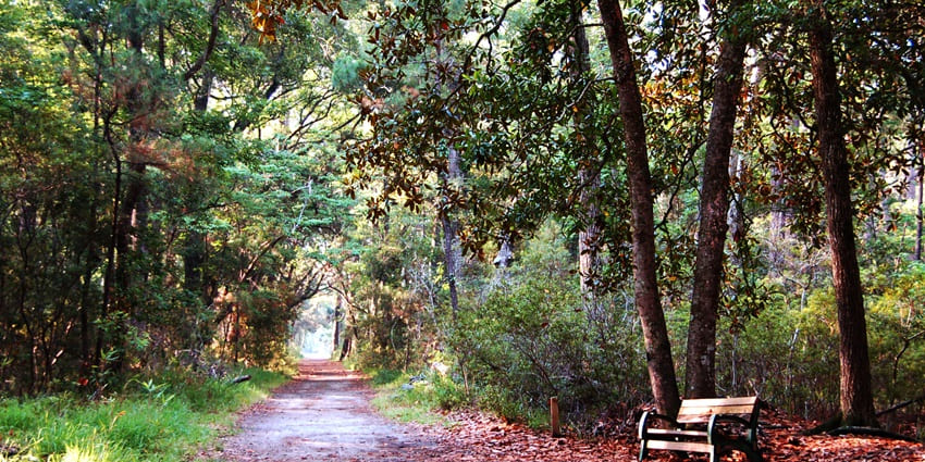 Trails and estuaries at Skidaway Island State Park, among the best islands in Georgia.