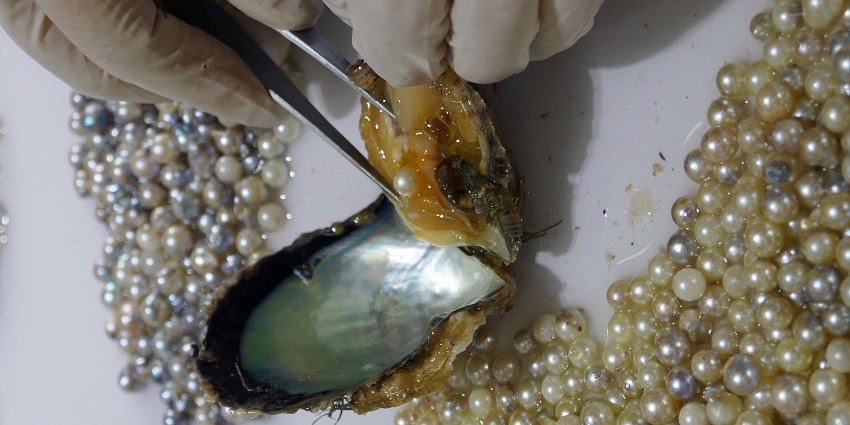Skilled Local Artisans and preserving traditional Techniques are the reason why is Hyderabad famous for pearls