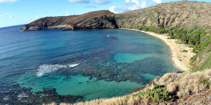 Explore the underwater world of Hanauma Bay, one of the best things to do in Honolulu, Hawaii.