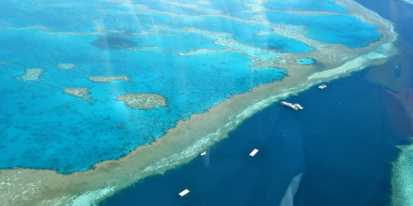 Witness coral reefs and tropical fish - one of the things to do in Far North Queensland.
