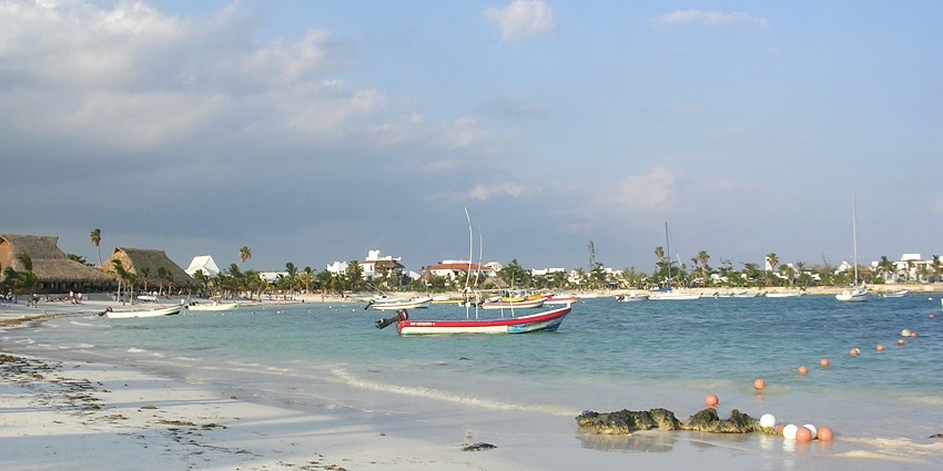 Float alongside sea turtles in the calm, shallow waters of the reef-protected Akumal Bay.