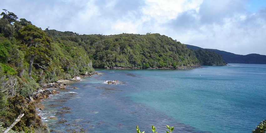 Hike forested trails on remote Stewart Island / Rakiura, among the best islands in New Zealand.