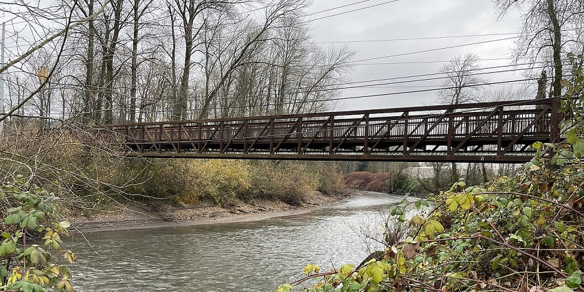 Things to do in Damariscotta include a trail linking nature reserves with forests, marshland, and peaceful riverside paths.