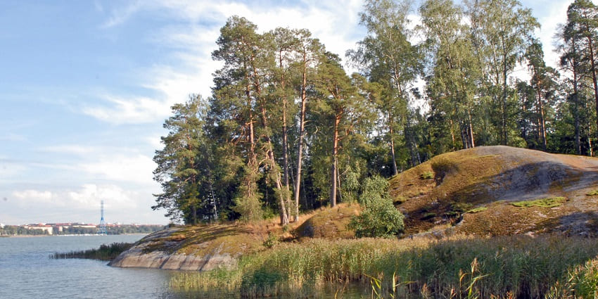 Open-air museum showcasing Finnish rural life in wooded calm.