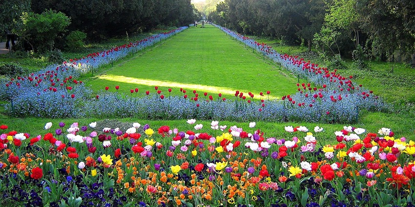 Things to do in Bucharest include strolling at Cismigiu Gardens, vibrant park with lakes.