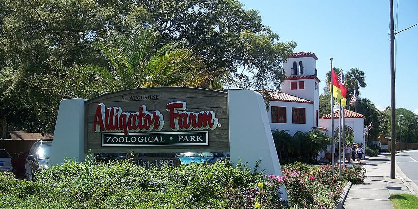 Explore wildlife and thrilling adventures at St. Augustine Alligator Farm in Florida.