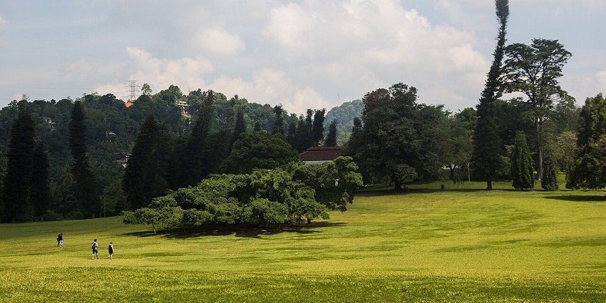 Lush landscaped gardens with ancient pathways, water channels, and serene views surrounding Sigiriya’s majestic rock.