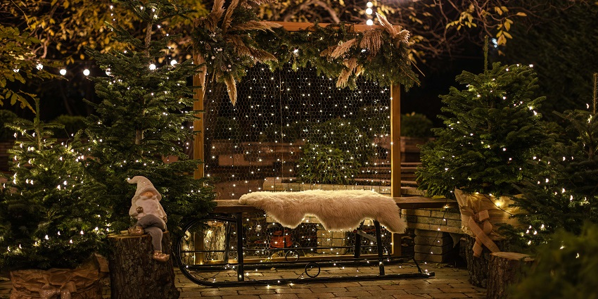 Christmas lights wrapped around trees in vibrant colours, illuminating a festive garden path.