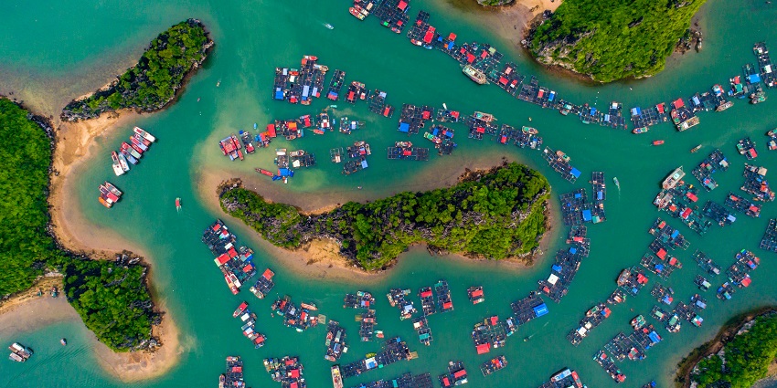 Private islet near Weligama Bay, offering luxury stays, palm-fringed beaches, and panoramic ocean views, one of the various islands in Sri Lanka.