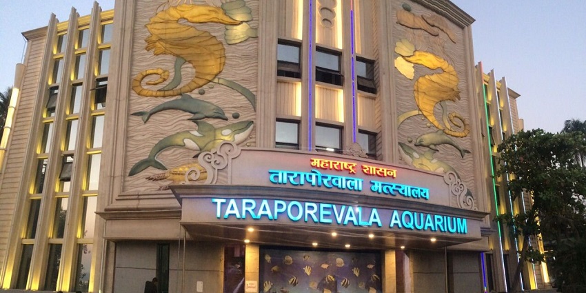 The oldest aquarium in India, showcasing colourful marine life near Marine Drive