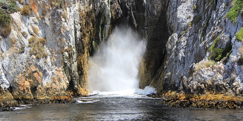 Discover untouched rainforests, rugged mountains, and ancient ecosystems in this protected area.
