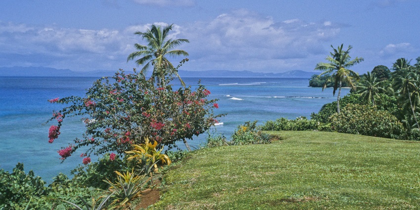 Dense tropical rainforest, hidden waterfalls, and the Bouma National Heritage Park.