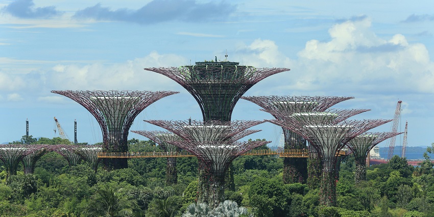 Lush greenery and peaceful walking paths at the Botanic Garden, showing what Singapore is famous for.