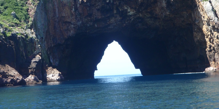 Explore marine life around the volcanic Poor Knights Islands, among the islands in New Zealand.