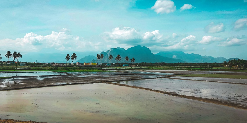 Theni is a scenic town near Madurai, surrounded by plantations, waterfalls, and hills.