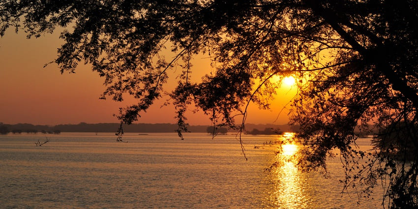 Peaceful Thol Lake Bird Sanctuary attracts flamingos and other migratory, Gujarat.