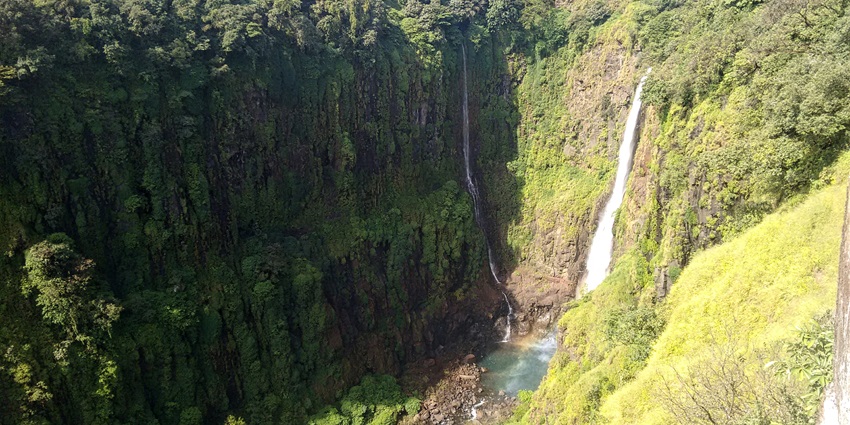 An image of amazing waterfall flowing from the hill top and covered in dense green forest