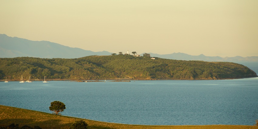 Conservation area with walking trails and rare bird sightings on reforested Tiritiri Matangi Island.
