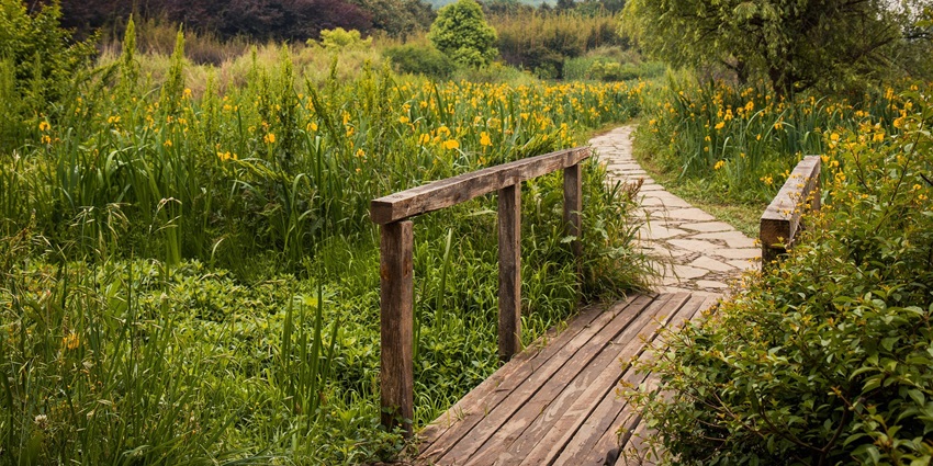 An image of the Tohono Chul Garden and Park, one of the most beautiful hidden places in Arizona.