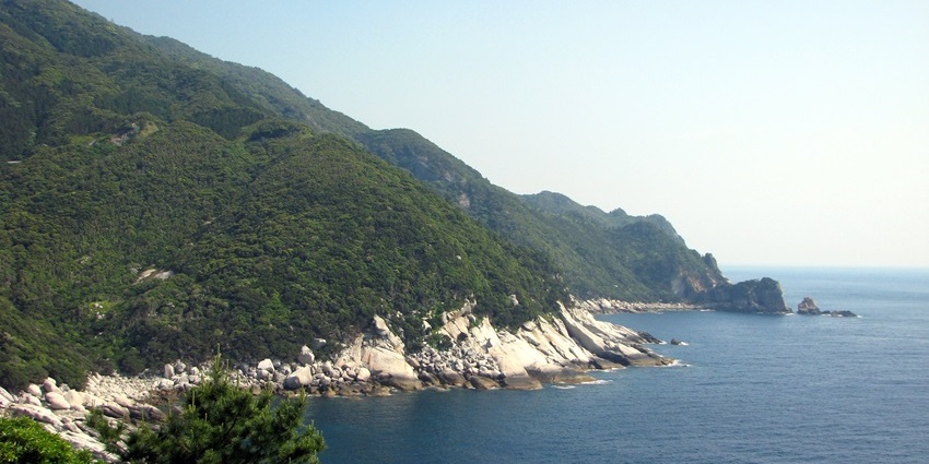 Mossy forests and ancient cedars define Yakushima, one of the wildest islands in Japan.
