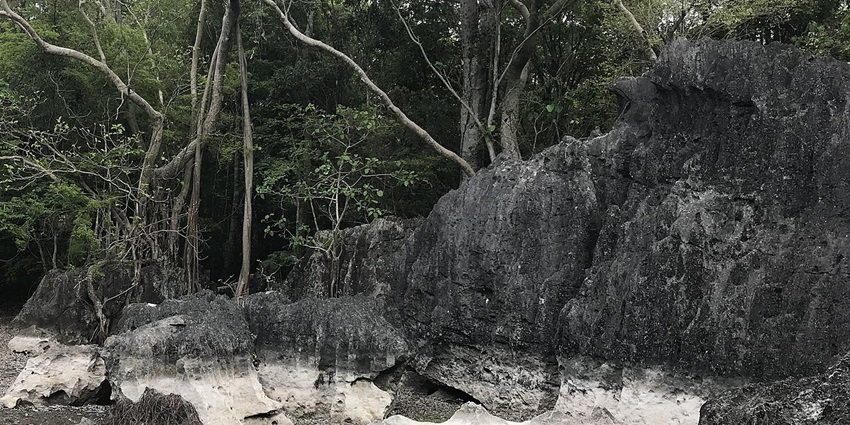 Limestone pinnacles of Tsingy de Bemaraha, a unique karst landscape in Madagascar.
