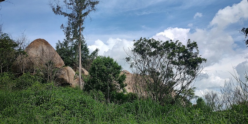 A scenic view of Turahalli Forest in Bangalore, with rocky terrain and dense greenery under a cloudy sky.