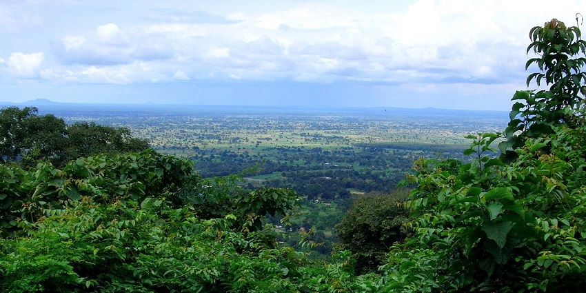 Dense green region of Udzungwa Mountains National Park with thick forest and rolling hills under a cloudy sky.
