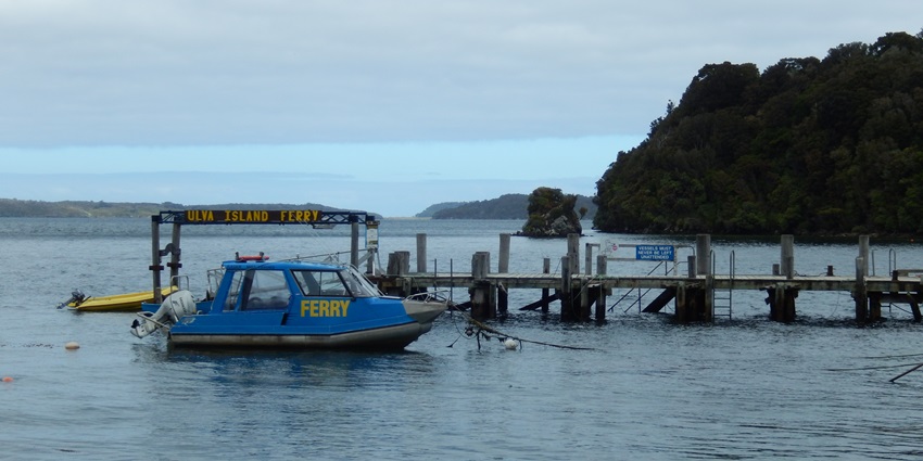 Bird sanctuary of Ulva Island, where visitors walk native bush trails filled with endemic wildlife.