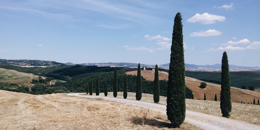 Val d'Orcia’s scenic beauty features cypress-lined roads, golden fields, hilltop towns, and stunning views.
